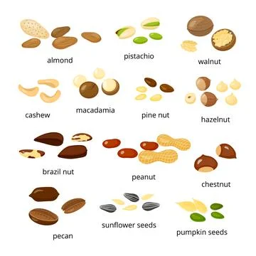 Collection of cartoon nuts. Stock Illustration