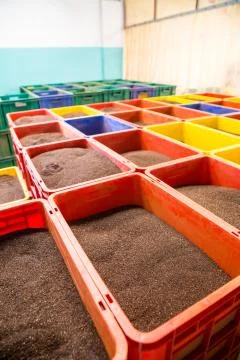 Collection of Ceylon teas in boxes, closeup view Stock Photos