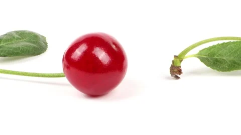 Collection of cherries with green leaf isolated on white background, side view Stock Footage 241021375