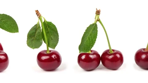 Collection of cherries with green leaf isolated on white background, side view Stock Footage 241021443