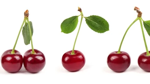 Collection of cherries with green leaf isolated on white background, side view Stock Footage 241021525
