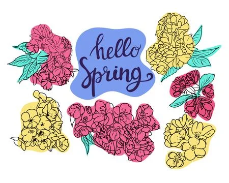 Collection of cherry and apple tree blossom and branch Stock Illustration