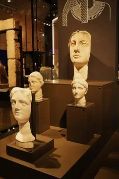 Collection of classical marble busts displayed Stock Photos
