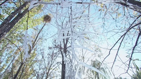 A collection of close-ups of multi-angle ice melts, water dripping Stock Footage 331493840