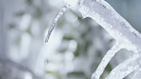 A collection of close-ups of multi-angle ice melts, water dripping Stock Footage 331493861