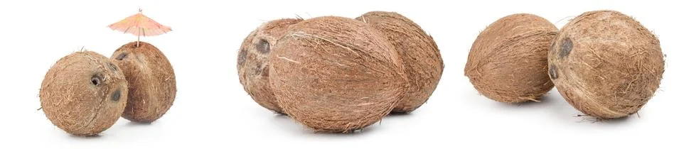 Collection of coconut on a background Foto stock