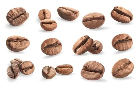 Collection of coffee beans isolated on white background Stock Illustration