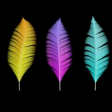 A collection of colored feathers of birds Stock Illustration