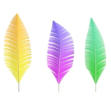 A collection of colored feathers of birds Stock Illustration