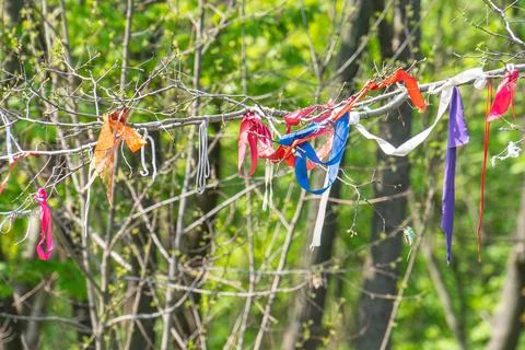A collection of colorful flags on a leafless tree against an outdoor backdrop Foto stock