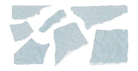 Collection of crumpled, torn notebook sheet in a cager cutouts with cardboard Stock Illustration