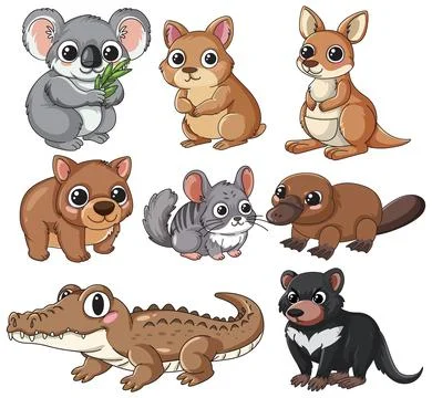 Collection of Cute Australian Animal Vector Illustrations on White Background Stock Illustration