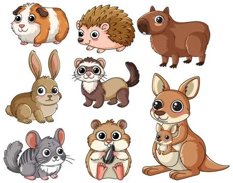 Collection of Cute Cartoon Animals Including Rabbit Hedgehog and Kangaroo Stock Illustration