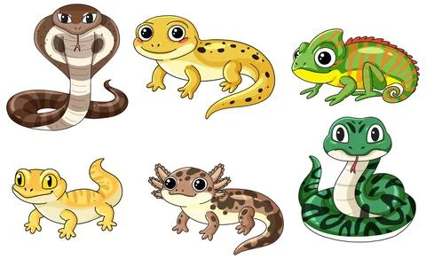 Collection of Cute Cartoon Reptiles and Amphibians Vector Illustration Set Stock Illustration