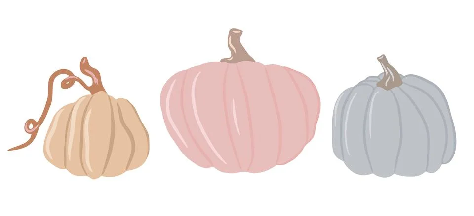 Collection of cute colored pumpkins, delicate shades of pumpkin, isolated white Stock Illustration