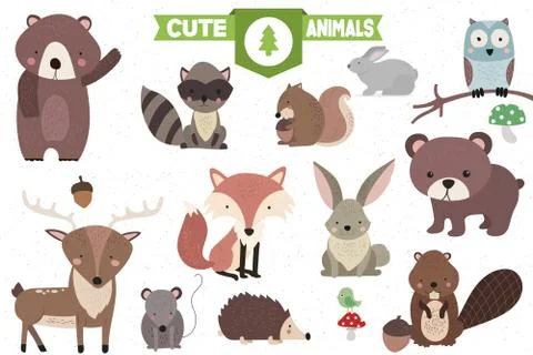 Collection of Cute Forest Animals Stock Illustration