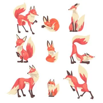 Collection of Cute Red Foxes Characters Cartoon Vector Illustration Stock Illustration