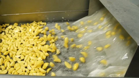 Collection of cutting potatoes. Nice view. Best promo for agricultiral video Stock Footage 128204785