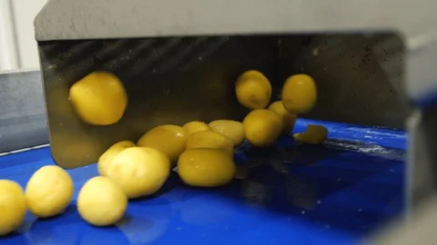 Collection of cutting potatoes. Nice view. Best promo for agricultiral video Stock Footage 128205532