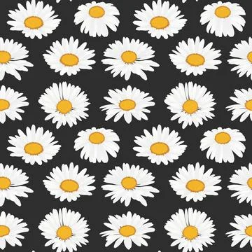 Collection daisy flower seamless pattern for print Stock Illustration