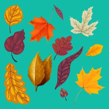 Collection of Different Autumn Leaves Illustrazione stock