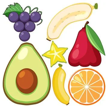 A collection of different fruits Illustrazione stock