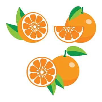 Collection of different oranges Stock Illustration