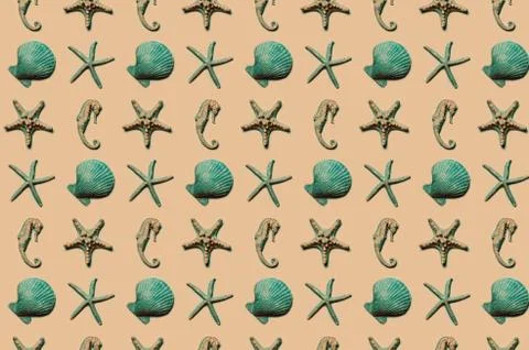 Collection of different seashells, pattern of turquoise shells on sand color Stock Photos