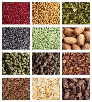 Collection of different spices Stock Photos