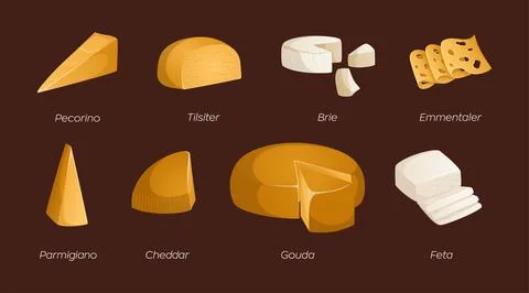 Collection of different types of cheeses on a brown background. Vector illust Stock Illustration