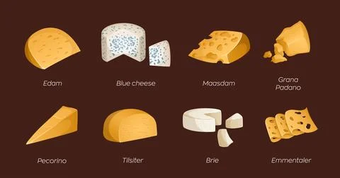 Collection of different types of cheeses on a brown background. Vector illust Stock Illustration
