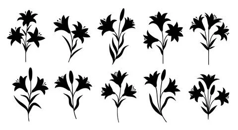 A collection of different types of flowers Stock Illustration