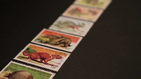 Collection of dinosaur stamps 動画素材 82436057