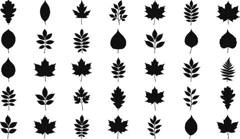 Collection of Diverse Black Leaf Silhouettes on White Background. Stock Illustration