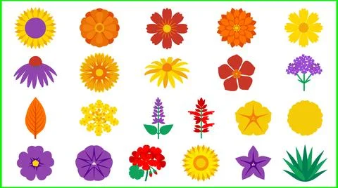 Collection of Diverse Flat Design Flowers and Leaves. Иллюстрация