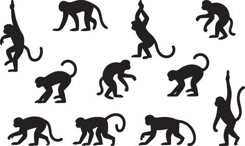 Collection of diverse monkey silhouettes in various poses isolated on trans.. Illustrazione stock