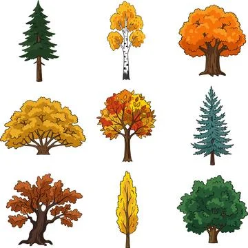 Collection of Diverse Trees in Various Seasons and Styles. Stock Illustration