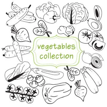 Collection of doodle organic vegetables elements Stock Illustration