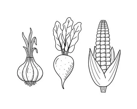 Collection of drawing vegetables in doodle style. A set of vector illustratio Stock Illustration