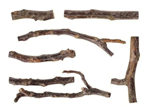 Collection of dried tree branches isolated on white Stock Photos