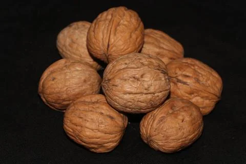 Collection of dry fruit walnut Stock Photos
