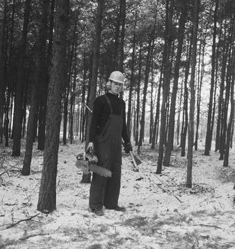 Collection of the Dutch Heidematschappij. Forest processing, workers, tool... Stock Photos