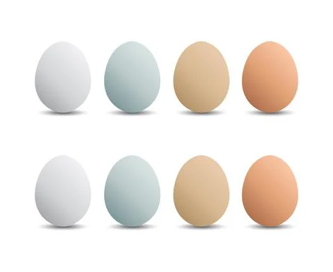 Collection of egg cartoon design. Realistic 3d animal egg cartoon design icon 스톡 일러스트