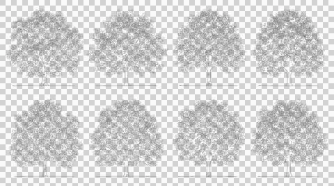 Collection of eight detailed trees in elevation view on transparent Stock Illustration