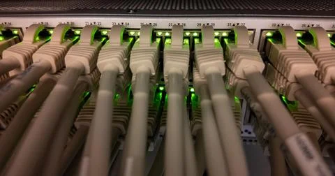 A collection of ethernet cables is interconnected to a server unit Stock Photos