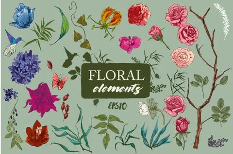 Collection with exotic flowers Stock Illustration