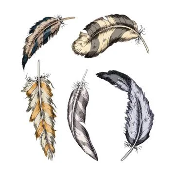 Collection of the feathers .Handmade work.Vector illustration Stock Illustration