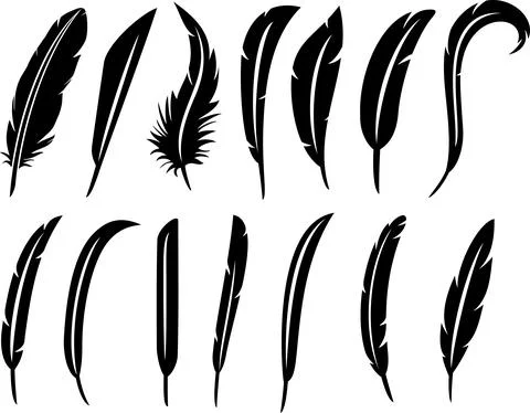 The collection of feathers Stock Illustration