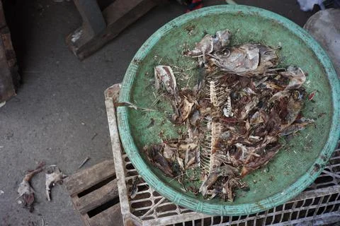 A collection of fish bones in a basket for cat food Stock Photos