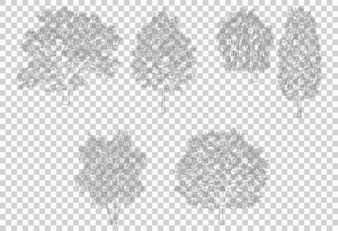 Collection of five varied trees isolated on transparent background Stock Illustration